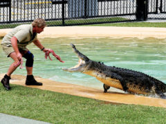 Steve Irwin to RM Williams: the most memorable outback characters