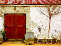 Exploring The Poacher’s Way