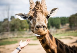 National Zoo & Aquarium, Canberra, ACT