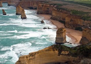 Sow and Piglets 12 Apostles