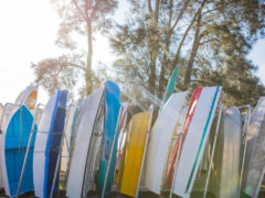 Gosford-Brisbane-Water-boats