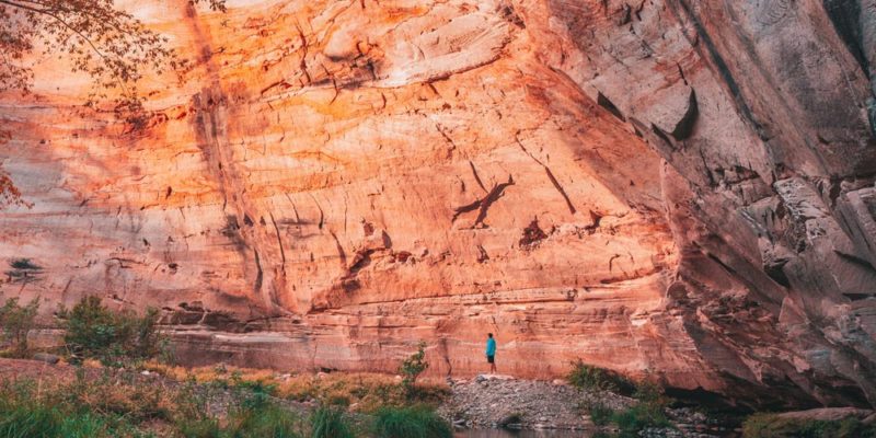 Discover Carnarvon Gorge