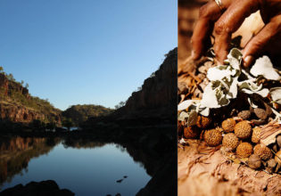 bush food native Katherine river