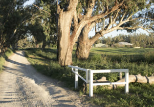 6 of the best things to do in Dubbo