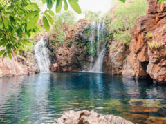 day trips from Darwin