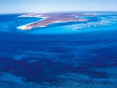 Dirk Hartog Island South Passage snorkelling off WA's Shark Bay.