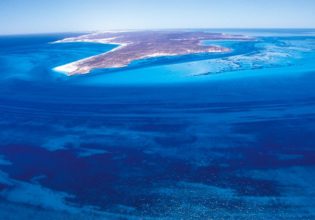Dirk Hartog Island South Passage snorkelling off WA's Shark Bay.