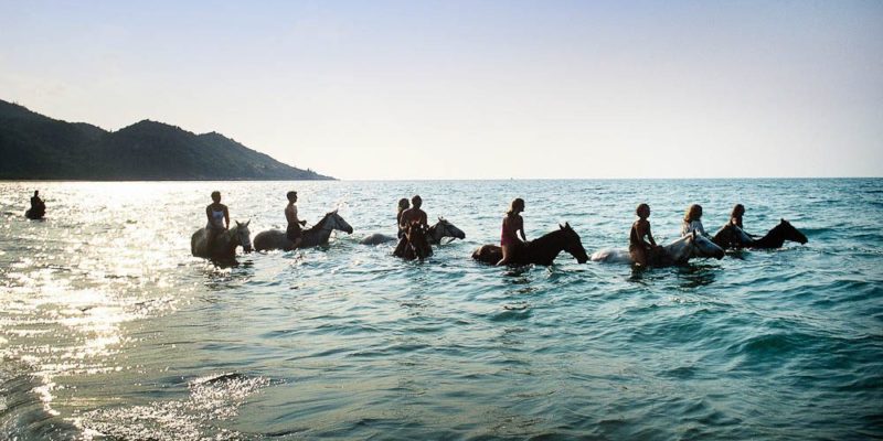 A swim with horses in where else but Horseshoe Bay, Magnetic Island