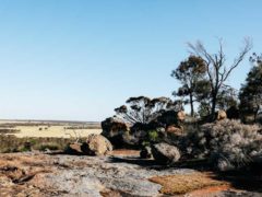 The golden outback western australia outback road trips