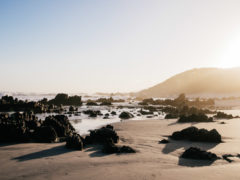 western australia outback road trips wave rock to hopetoun