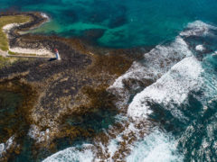 Birds eye view above the Port Fairy foreshore.