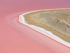 Everything you need to know about South Australia’s bright pink lakes