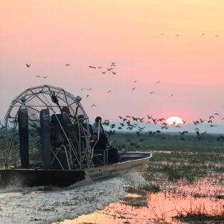 Wild Bush Luxury tour on BamurruPlains