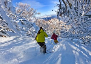 Powder skiing Wombat Valley Mt Buller