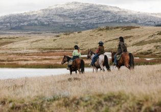 Bogong Horseback Adventures