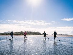 Coffs Coast with Wajaana Yaam Adventure Tours