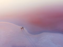 Tim Flannery: “We have a wonderful opportunity to heal the world”