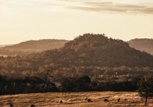 llama trek hanging rock