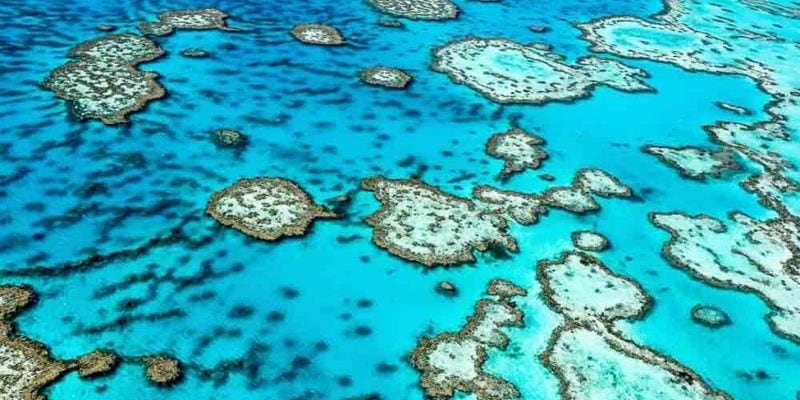 Great Barrier Reef, QLD