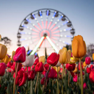 Floriade in Canberra