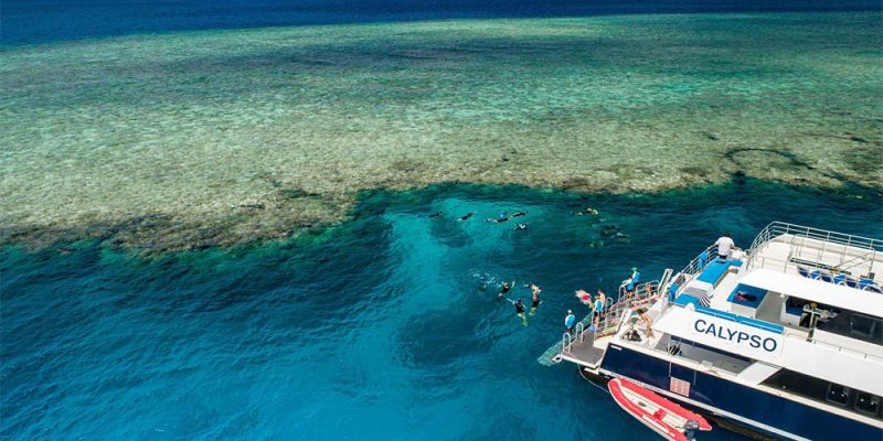 The best Great Barrier Reef tours in Far North Queensland