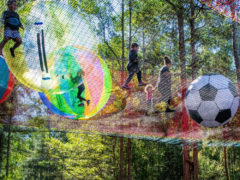 Treetops Central Coast