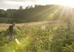 What to do in Cygnet, Tasmania