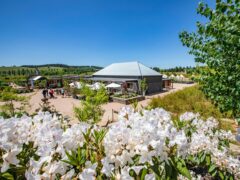 visitors enjoying the scenic grounds of Mayfield Gardens, Oberon