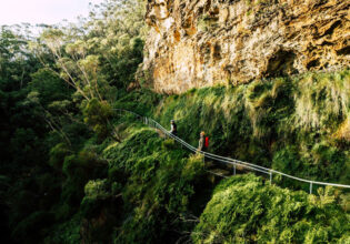 A new Blue Mountains walk has opened and it’s a nature-lover’s dream