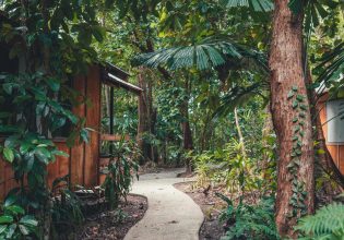 Walking down the path at Cape Tribulation Beach House. (Image: Tourism Tropical North Queensland)