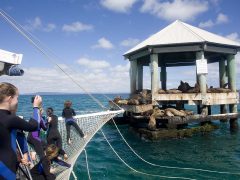 Chinamans Hat, Port Phillip Bay, Geelong, VIC, Australia