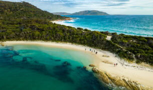 an aerial view of sapphire seas and lush greenery on Flinders Island
