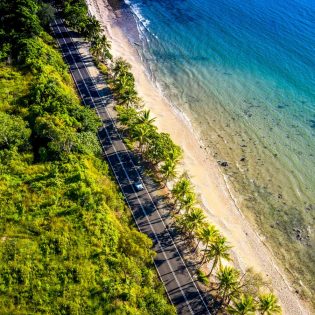 The top 7 Daintree tours for culture, crocs, food and nature