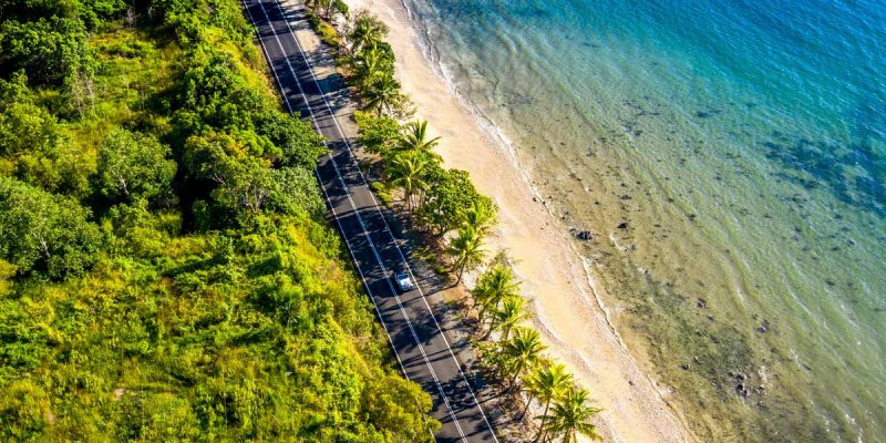 The top 7 Daintree tours for culture, crocs, food and nature