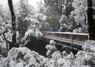 The snow-covered Enchanted Walk. (Image: Paul Fleming)