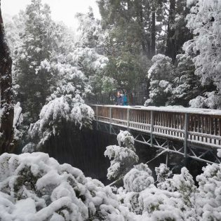 The snow-covered Enchanted Walk. (Image: Paul Fleming)