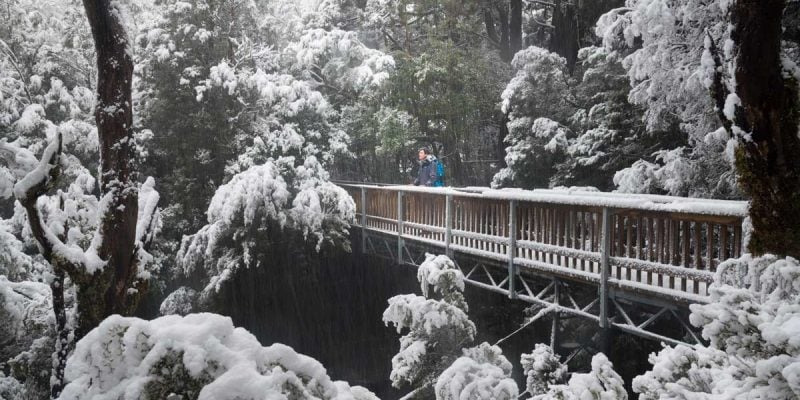The snow-covered Enchanted Walk. (Image: Paul Fleming)
