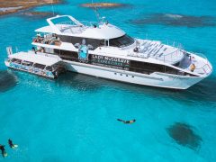 reef cruise moored at the reef