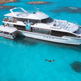 reef cruise moored at the reef