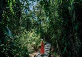 Woman stands on Marrdja Boardwalk between lush foliage in the Daintree Rainforest. (Image: Tourism and Events Queensland and Emilie Ristevski)
