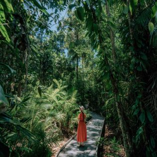 Woman stands on Marrdja Boardwalk between lush foliage in the Daintree Rainforest. (Image: Tourism and Events Queensland and Emilie Ristevski)
