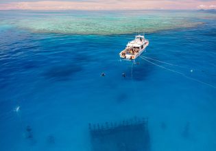 Adrenaline Snorkel and Dive Museum of Underwater Art