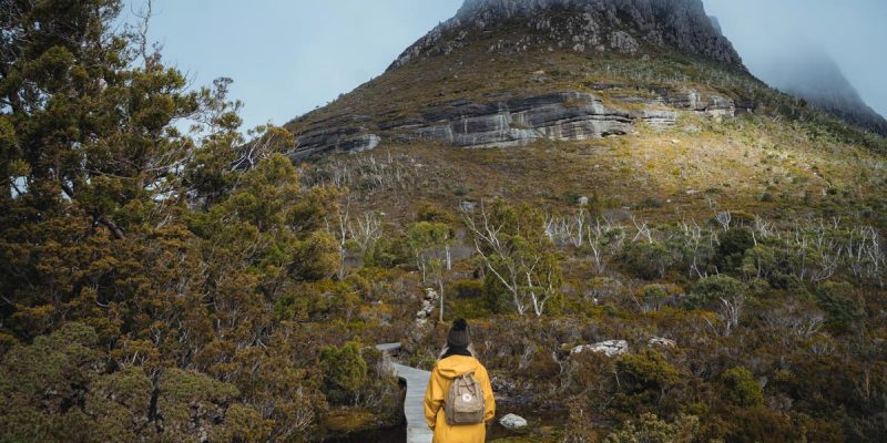 Walk in Cradle Mountain National Park