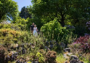 Everglades gardens Leura