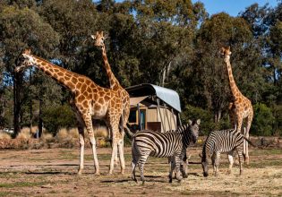 Taronga Western Plains Zoo in Dubbo