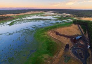 an aerial view of the woodlands and wetlands of Budj Bim