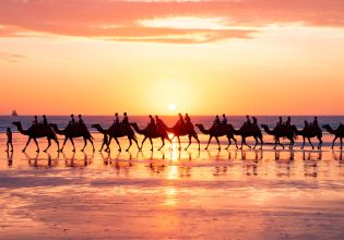 a group camel ride during sunset on Cable Beach, Broome