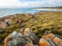 Walkers on Tasmanian Expeditions Flinders Island Walking Advenure in Comfort