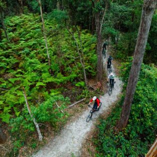 24 memorable things to do in Merimbula