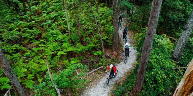 24 memorable things to do in Merimbula